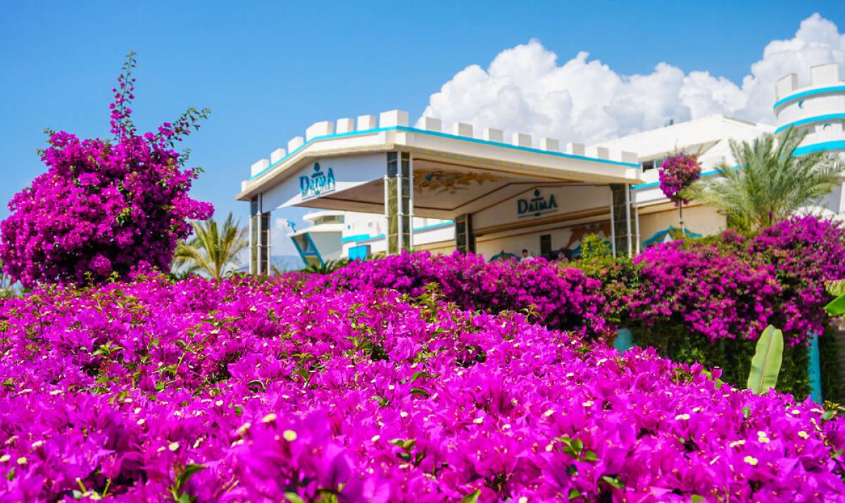 Daima Biz Resort Hotel