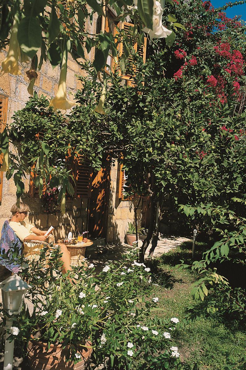 Begonville Pension