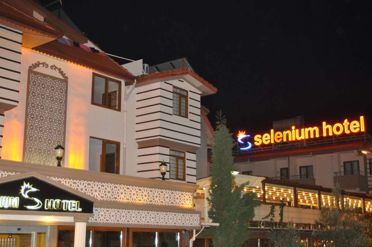 Selenium Hotel