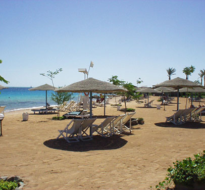 Sea Garden