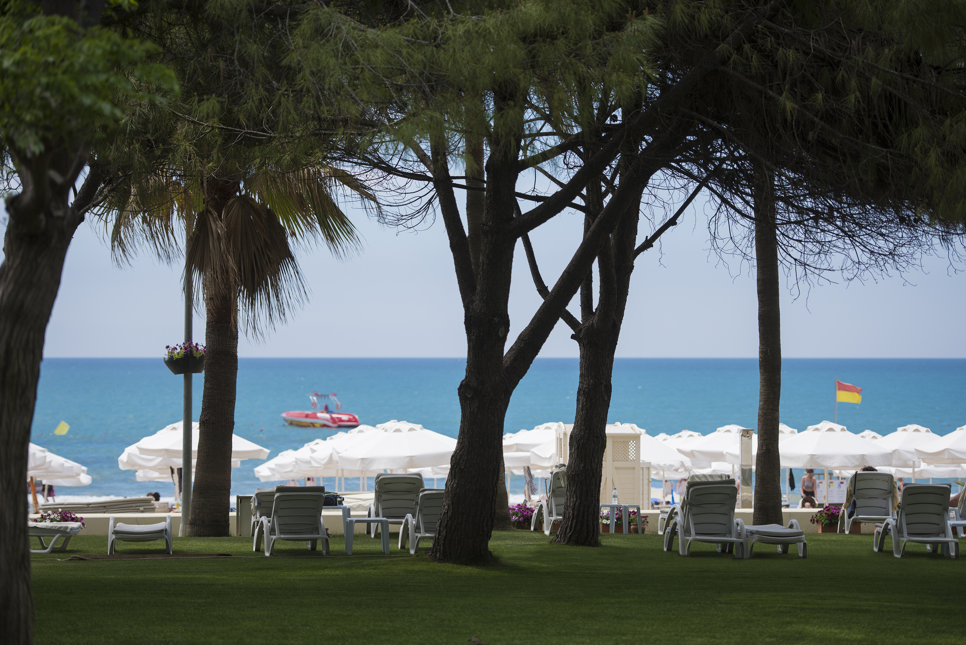 Barut Hemera
