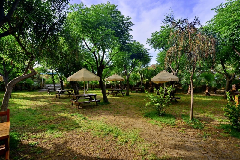Seaden Sea World Resort & Spa
