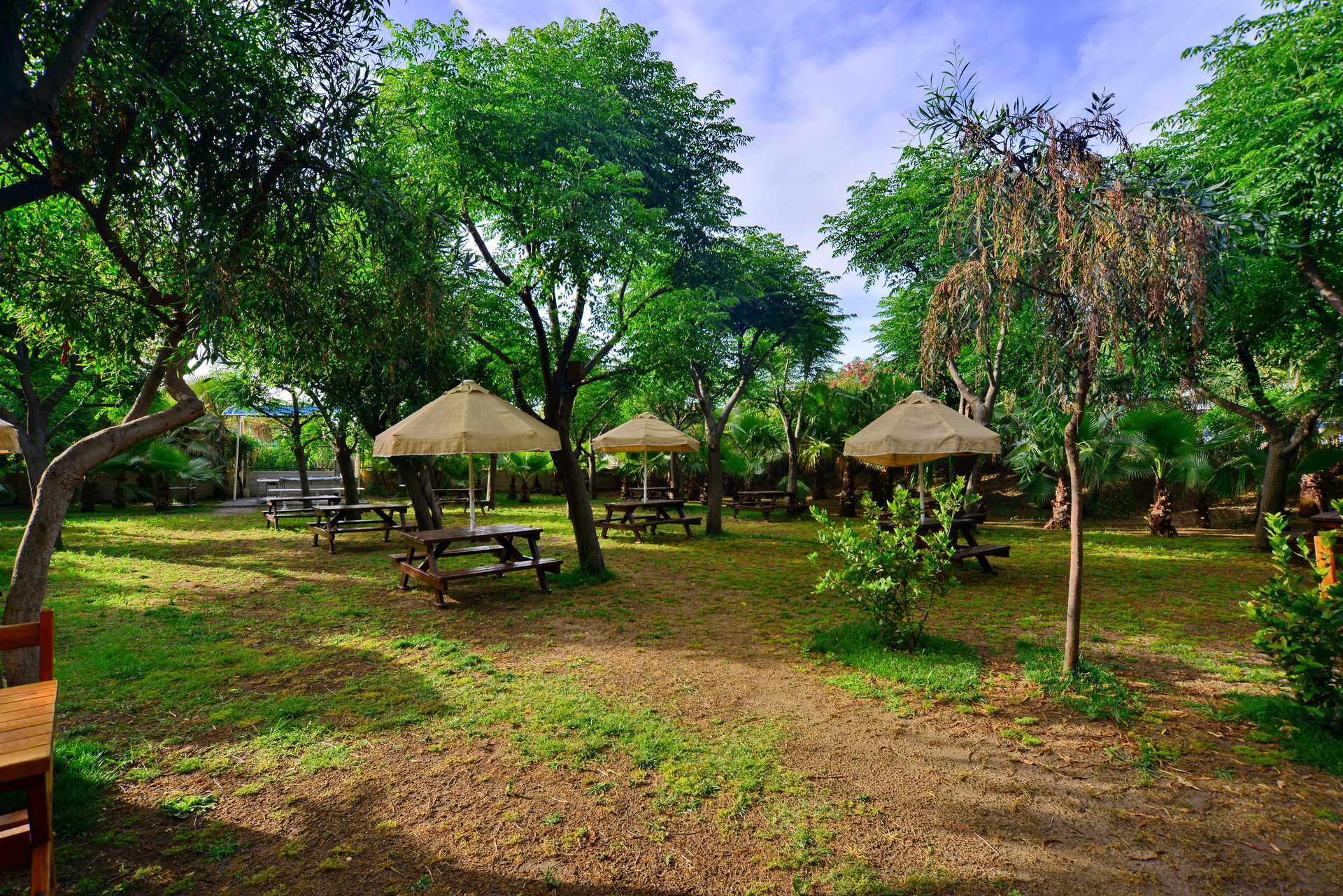 Seaden Sea World Resort & Spa