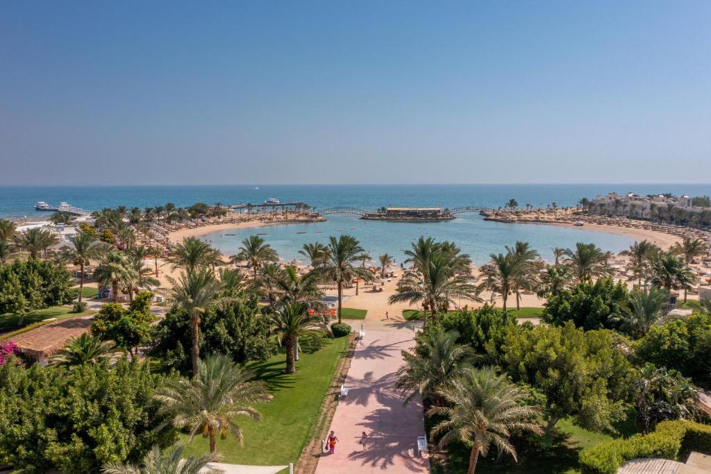 Desert Rose Hurghada