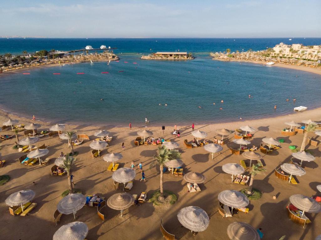 Desert Rose Hurghada