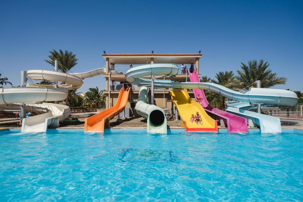 Desert Rose Hurghada