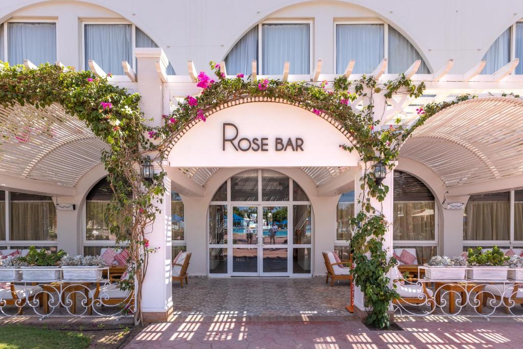 Desert Rose Hurghada